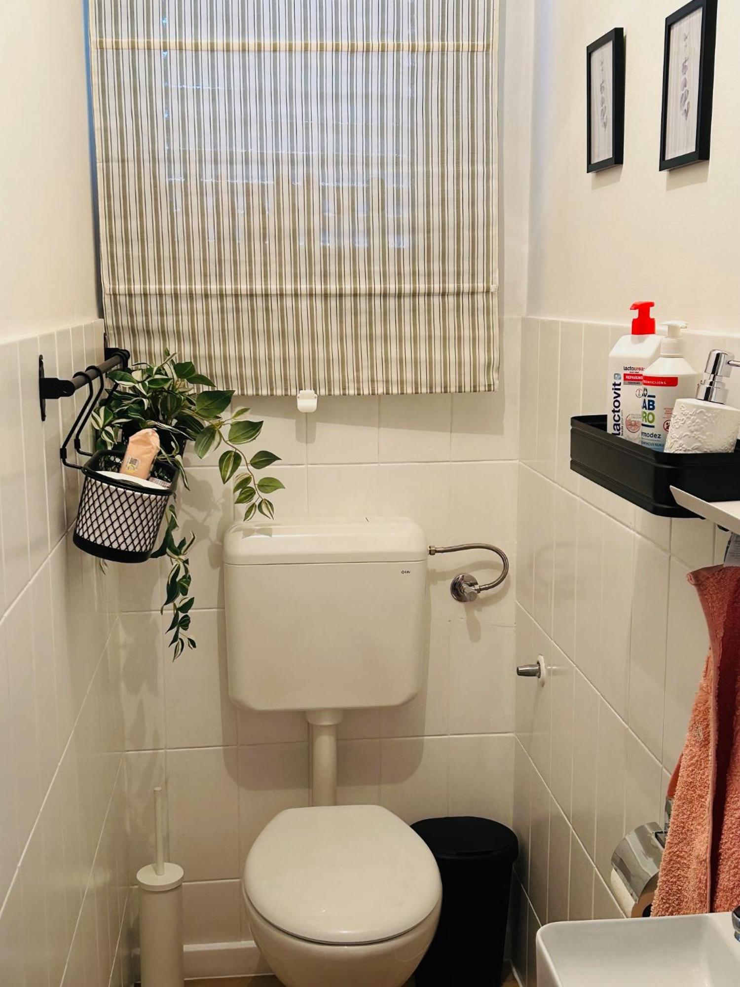 Appartamento Starlight House Bjelovar Esterno foto